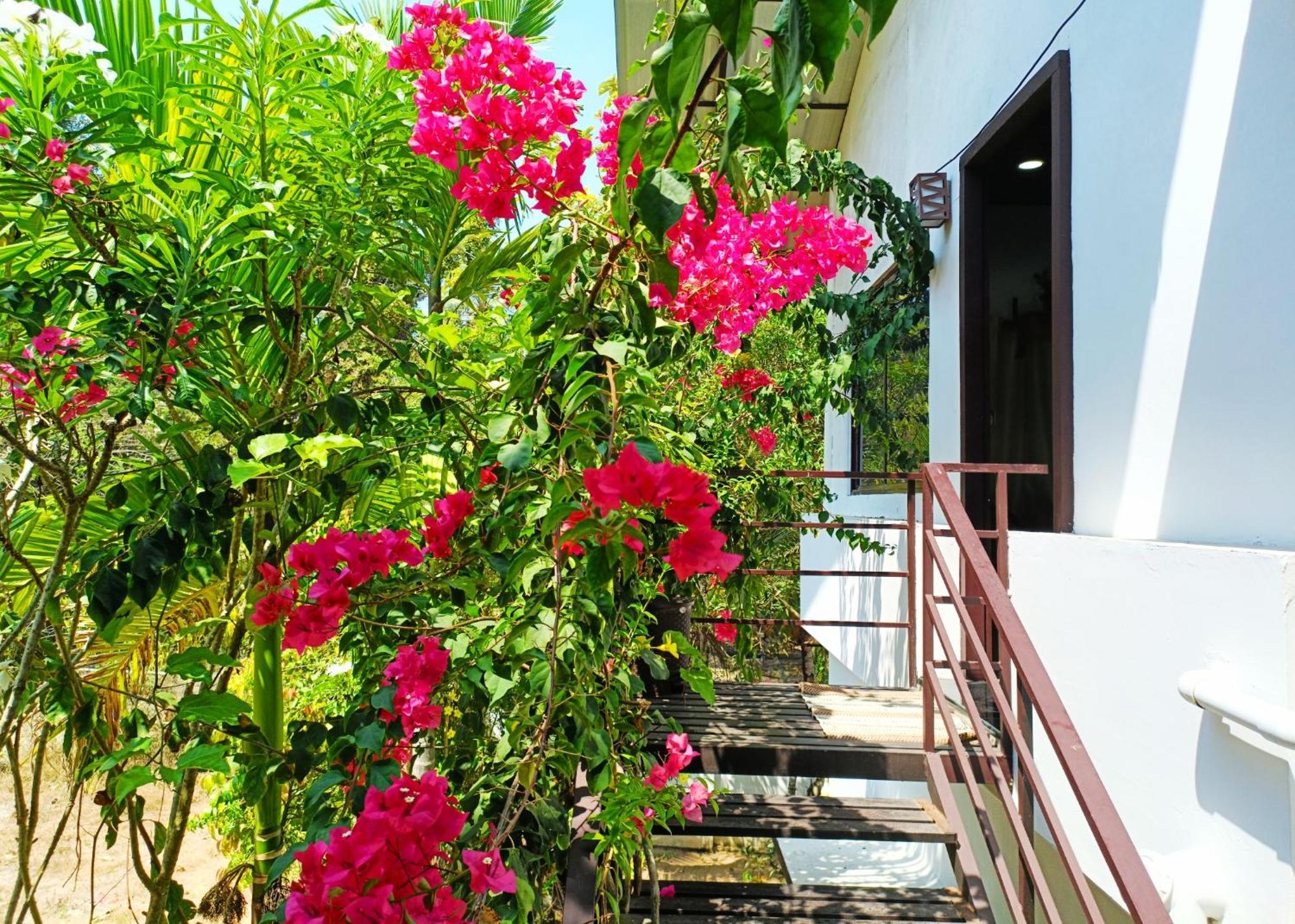Alma Homestay 马拉利库兰 外观 照片